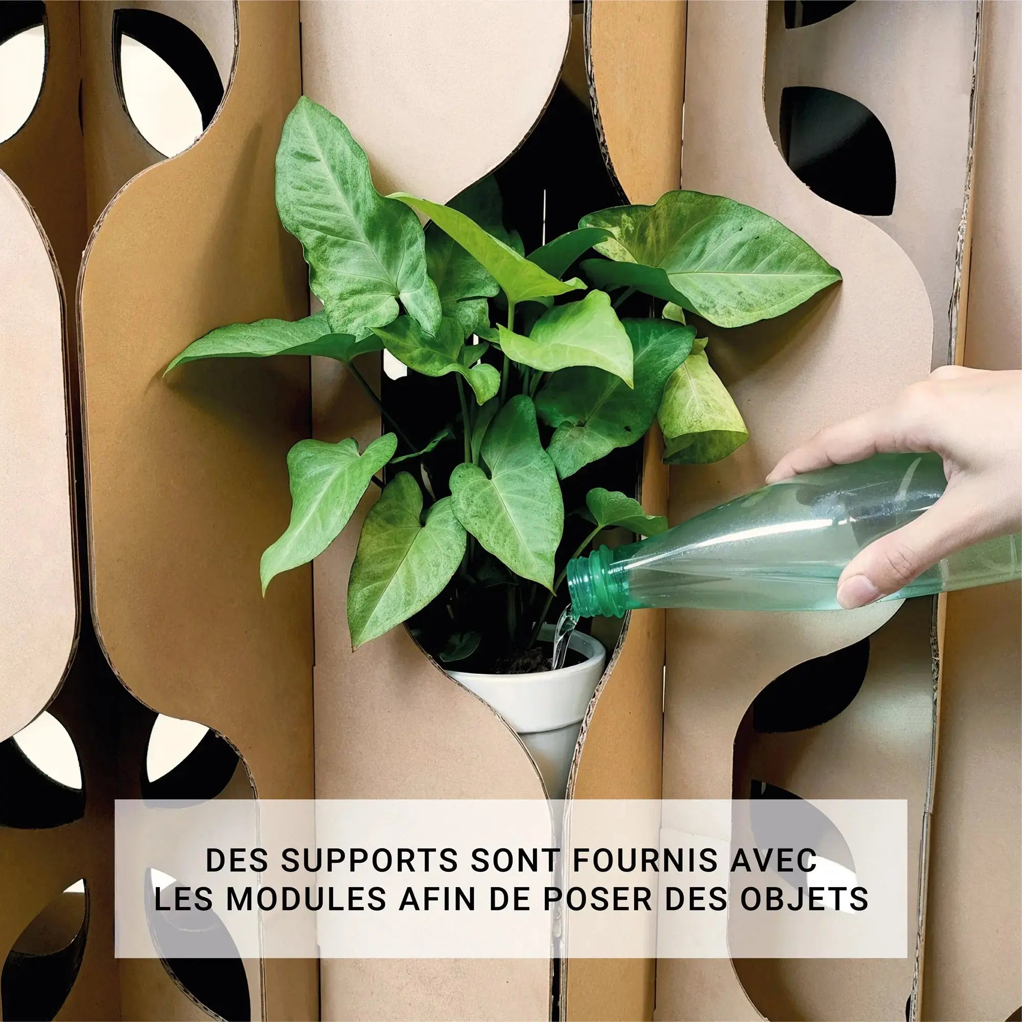 Claustra Écru - pack 48 pièces Studio Carton Brut