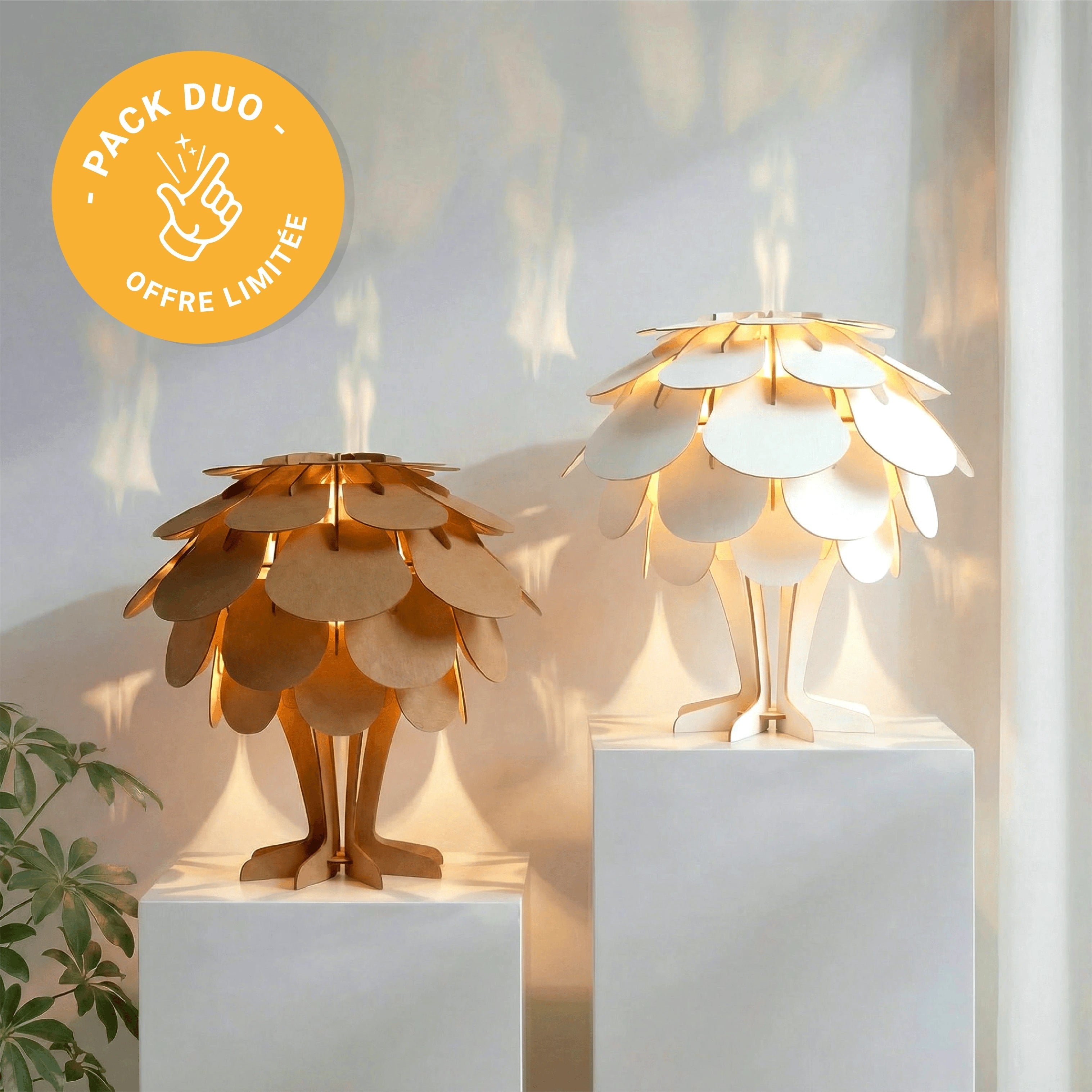 PACK DUO - Flora ( page d'origine ) Studio Carton Brut